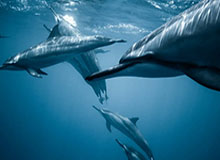 开云体育官网-中超收官战裁判数据：VAR正确率100% 唐顺齐最能跑